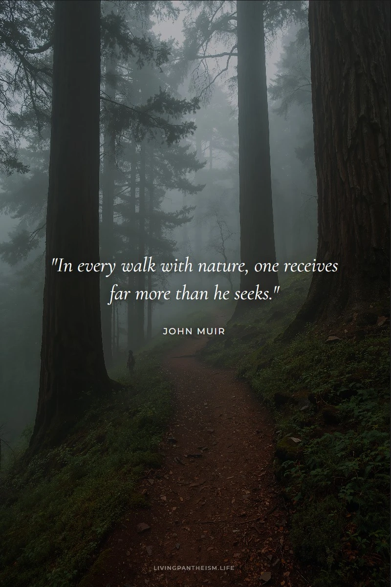 John Muir quote: In every walk with nature, one receives far more than he seeks.