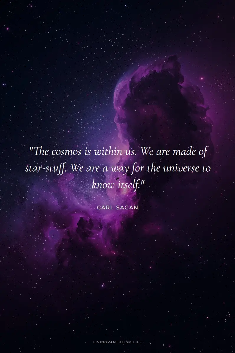 Carl Sagan quote poster
