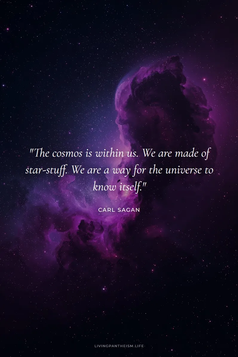 Carl Sagan quote poster