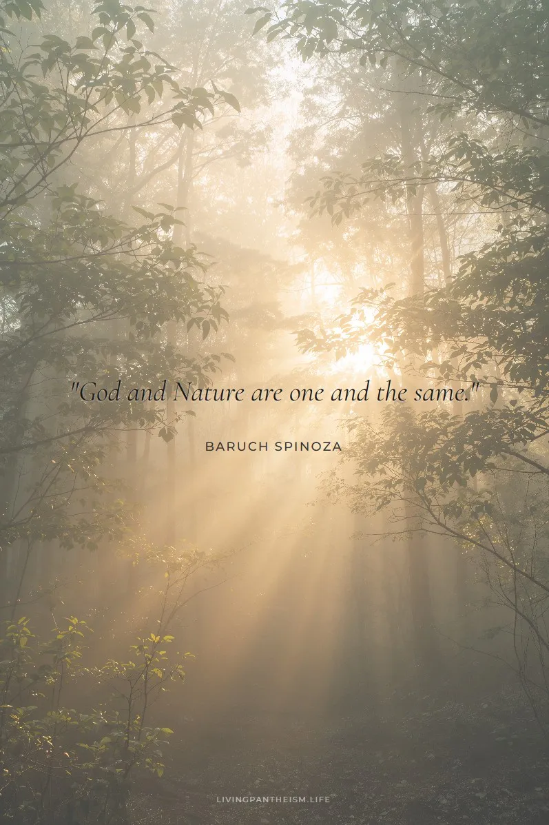 Spinoza quote poster