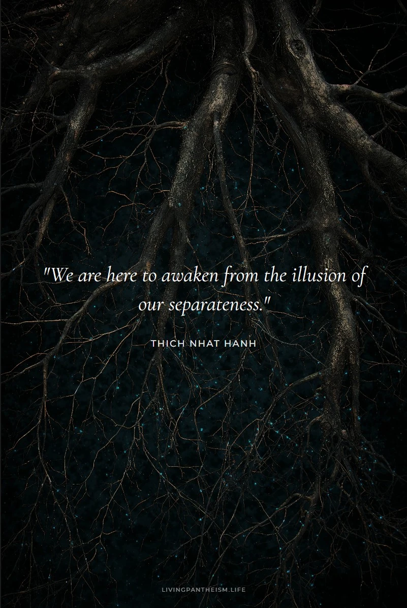 Thich Nhat Hanh quote: We are here to awaken from the illusion of our separateness.