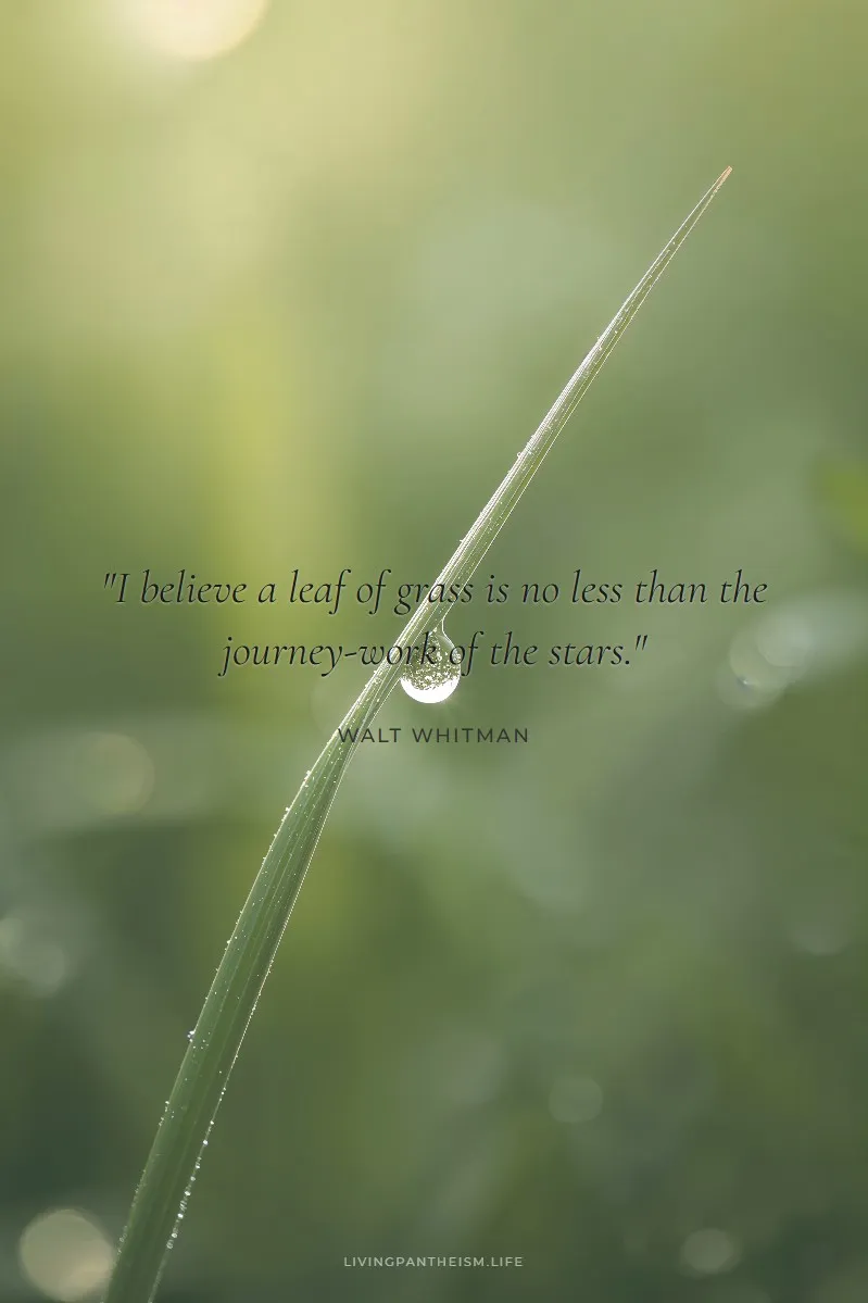 Walt Whitman quote poster