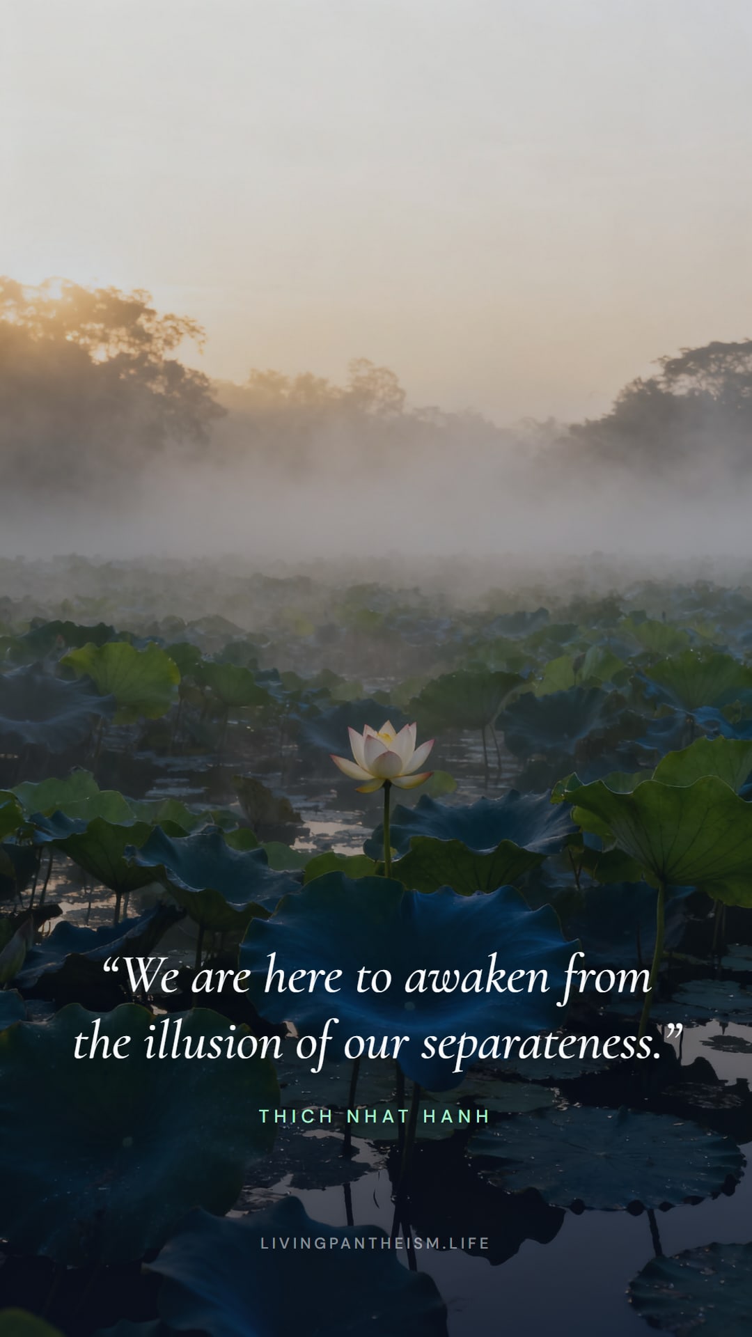 Thich Nhat Hanh quote wallpaper: We are here to awaken from the illusion of our separateness.
