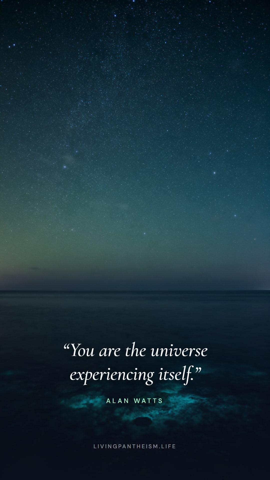Alan Watts quote wallpaper: You are the universe experiencing itself.